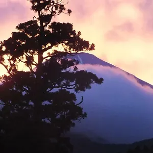 Hananoyado Fukuya ריוקן